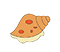 海螺小图标.png