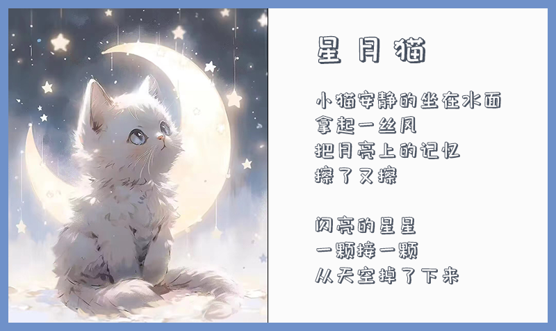 12.31星月猫-1.png