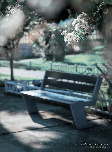 HXY_4734 拷贝 222.jpg