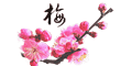 梅花.gif
