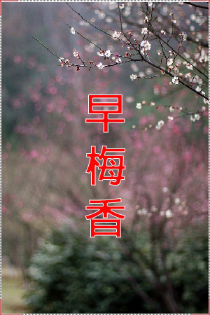 早梅香.jpg