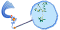扇子.gif