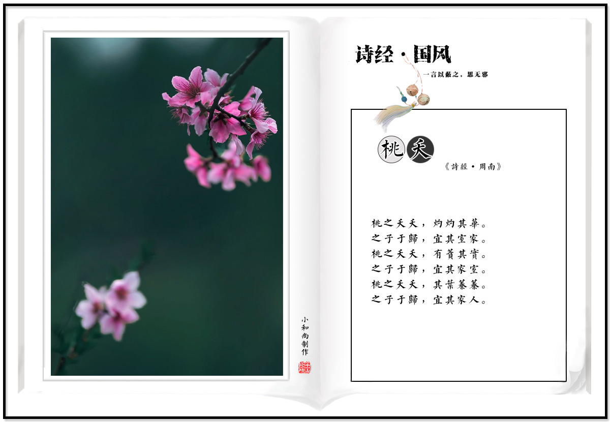 6 桃夭.jpg