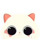 13.gif