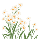16.gif
