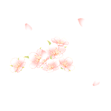 花瓣.gif