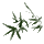 雪之竹
