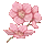 百花文友